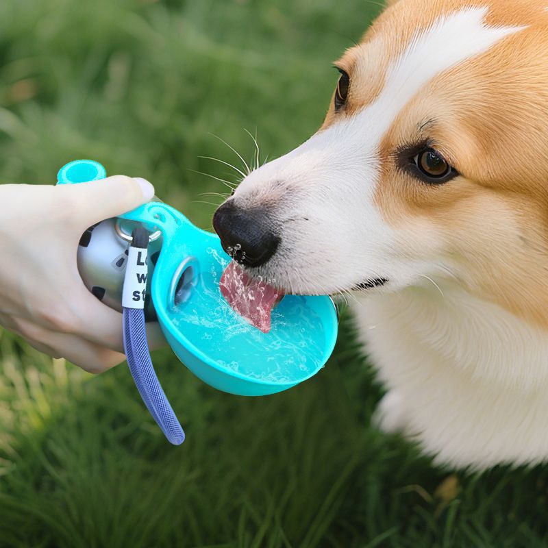 Gourde Portable pour Chien - Gamelle Intégrée Anti-Fuite